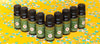 Spring cleaning with essential oils