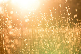 Hot Summer Essentials for Naturally Healthy Skin