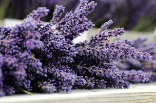 Lavender Is Your New Skincare Secret